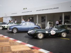 Die „neuen" Jaguar Lightweight-E-type werden als klassische Rennfahrzeuge geführt und sind nach FIA Reglement für den historischen Motorsport homologiert. (Werksfoto)